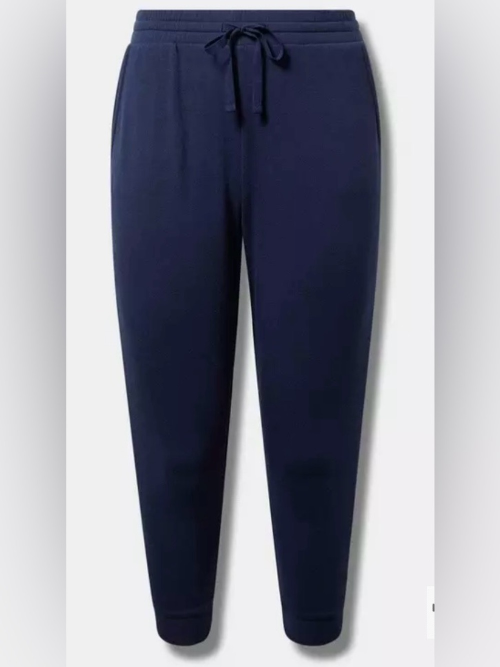 Dark Blue Torrid Pull-On Jogger size 2 (16/18)